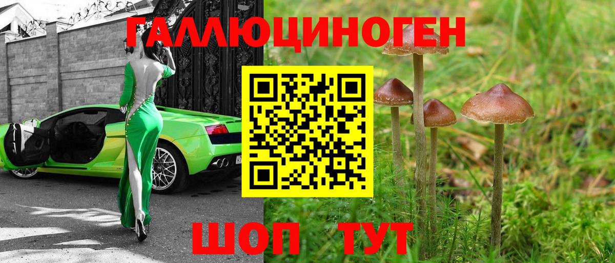 Псилоцибиновые грибы мухоморы Красногорск